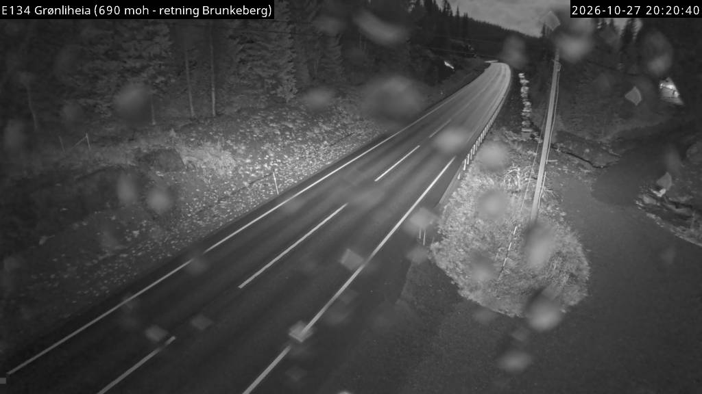 Straßenkamera Grønliheia