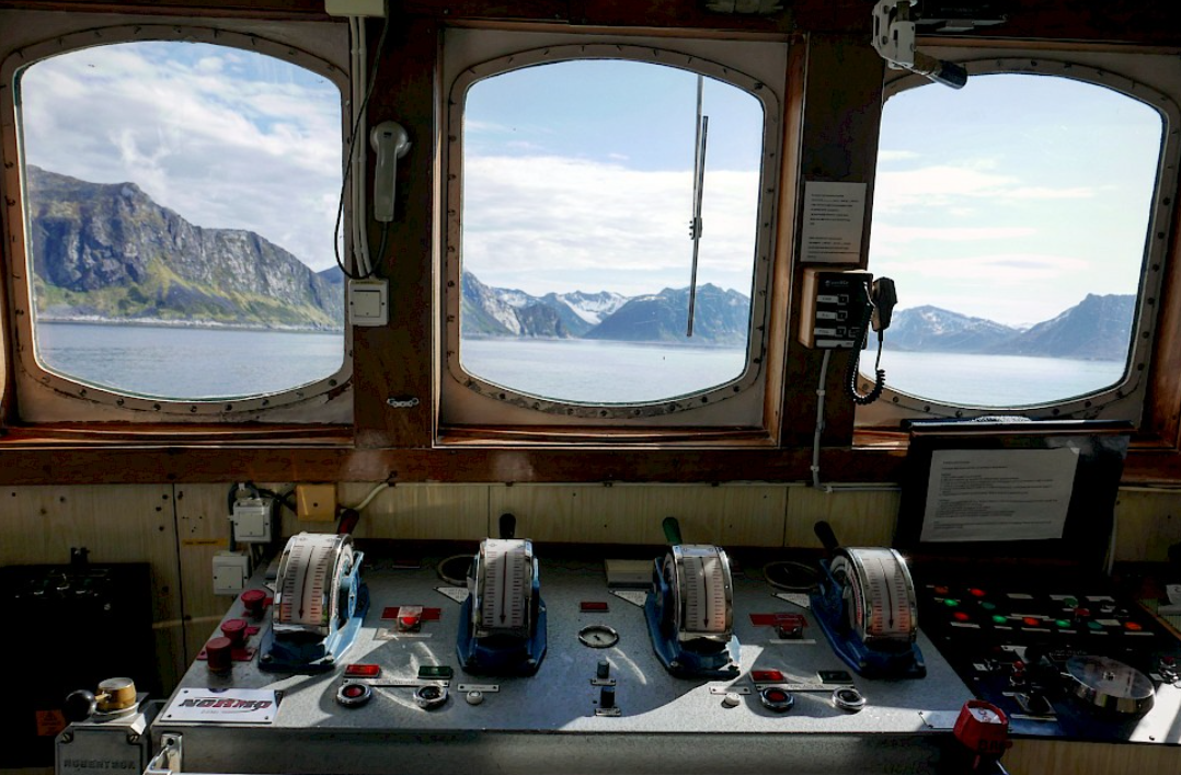 Ferry and whales in Norway
