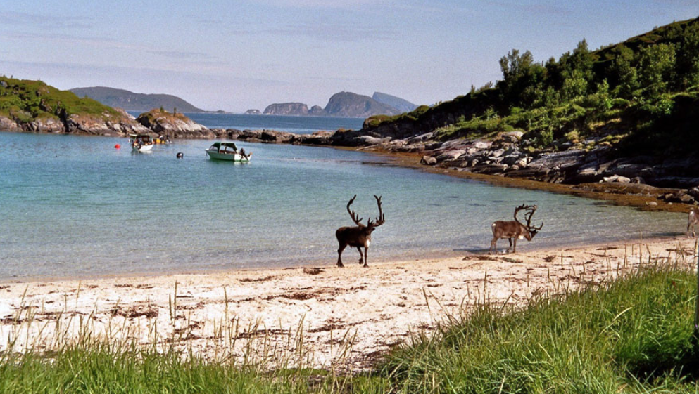 Laukvik wild camp spot