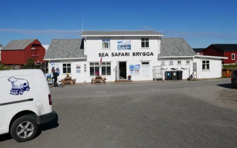 Sea Safari Andenes