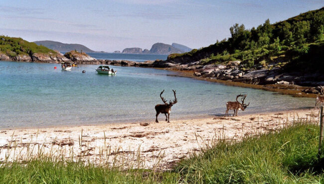 Laukvik Senja