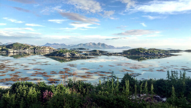 Måsvik Rebbenesøya
