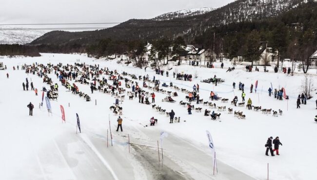 Finnmarksløpet - Carrera de trineos de perros