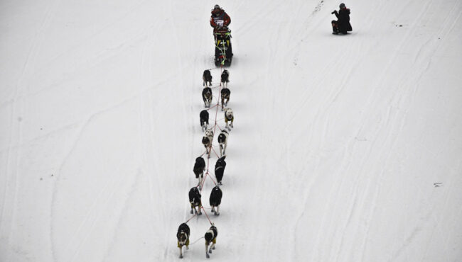 Finnmarksløpet - Carrera de trineos de perros