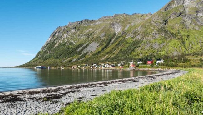 Steinfjord Senja