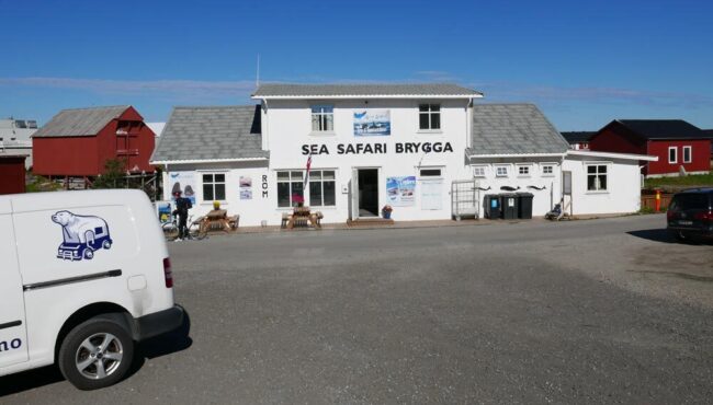 Sea Safari Andenes