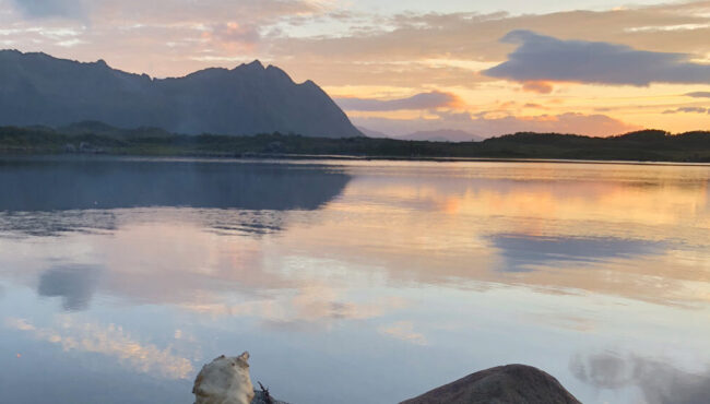 Vatnfjord Lofoten