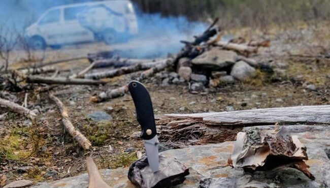 Bosque misterioso Lulevatten - Sarek