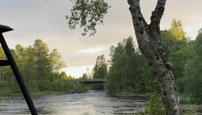 Øvre Pasvik Camping